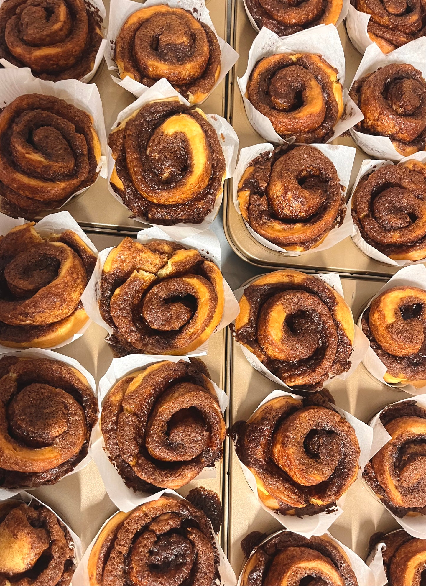 Signature Scrolls (GFO) (Sundays)